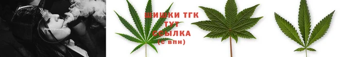 МДПВ Богданович