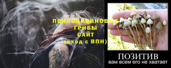 дмт Богородск